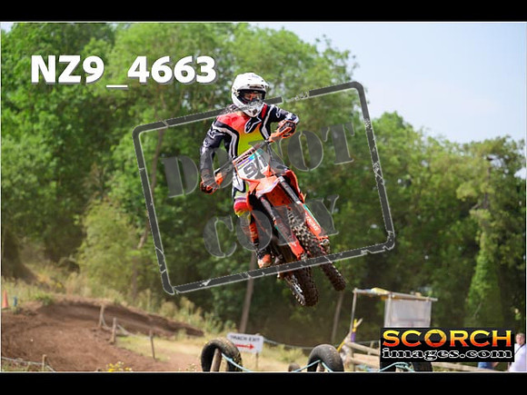 Experts-149