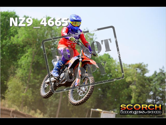 Experts-151