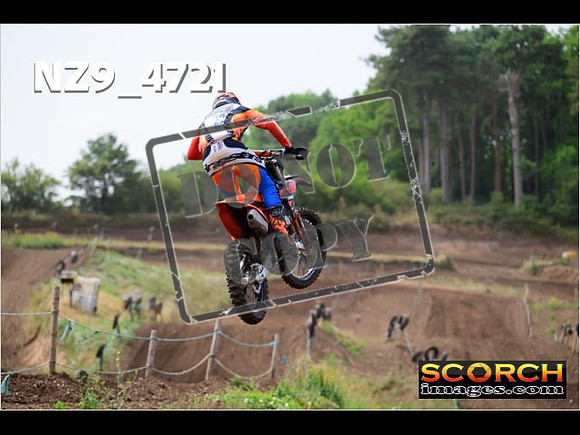 Experts-200