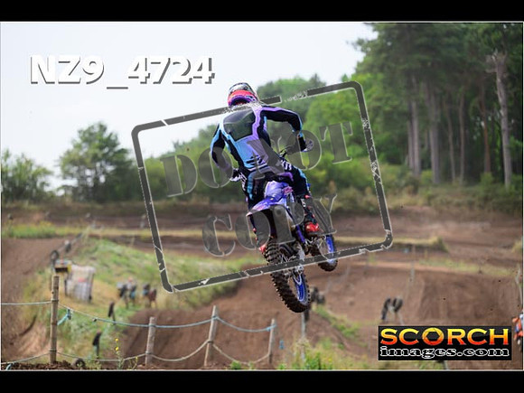 Experts-203
