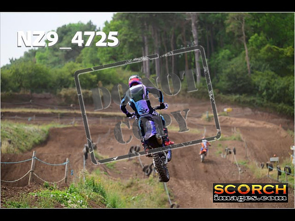 Experts-204