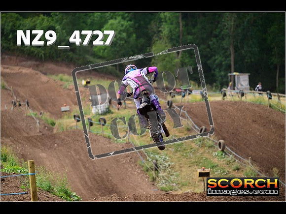 Experts-206