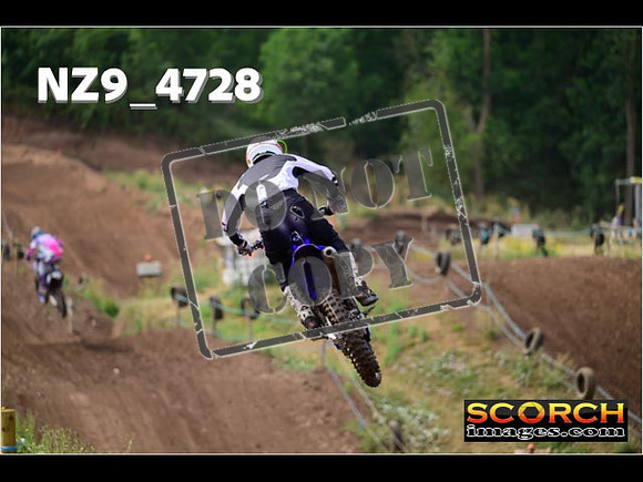 Experts-207