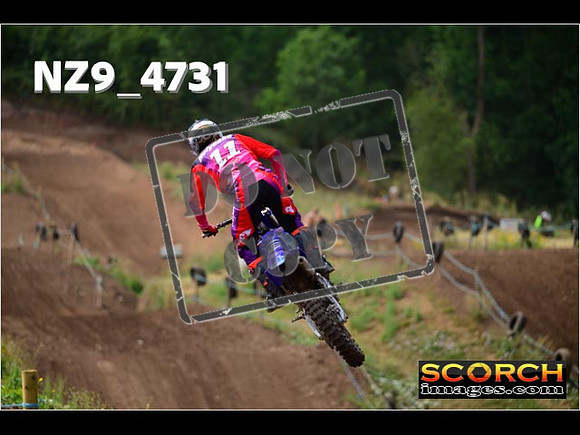 Experts-210
