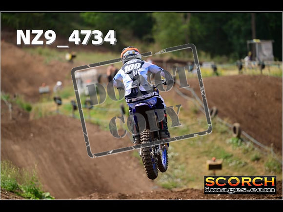 Experts-213