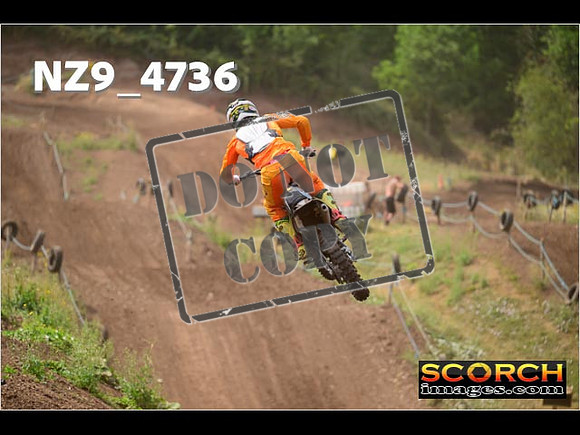 Experts-215
