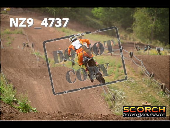 Experts-216