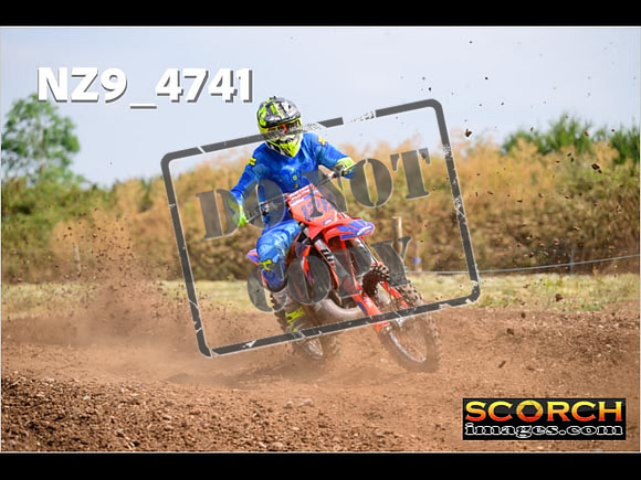 Experts-219