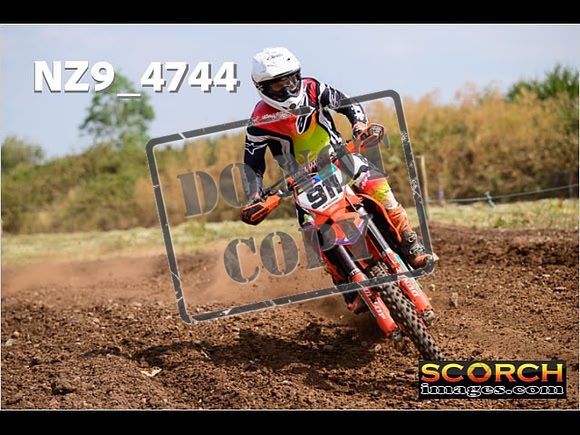 Experts-221