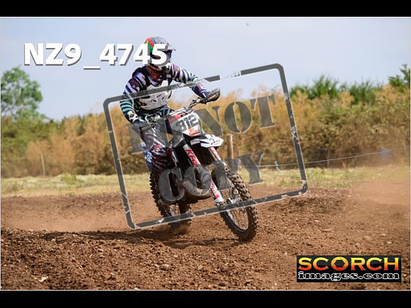 Experts-222