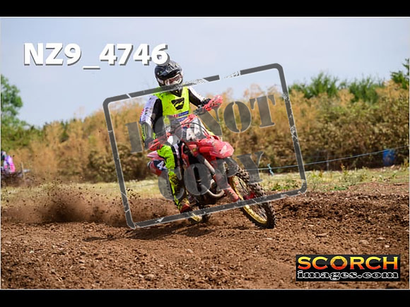 Experts-223