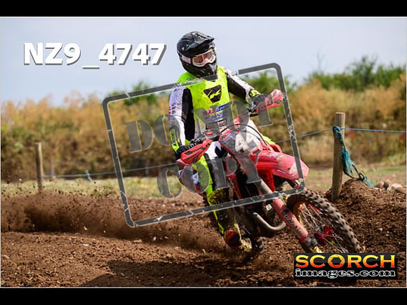 Experts-224