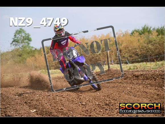 Experts-226