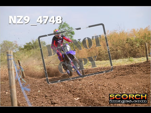 Experts-225