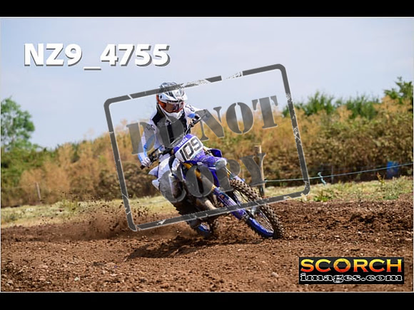 Experts-230