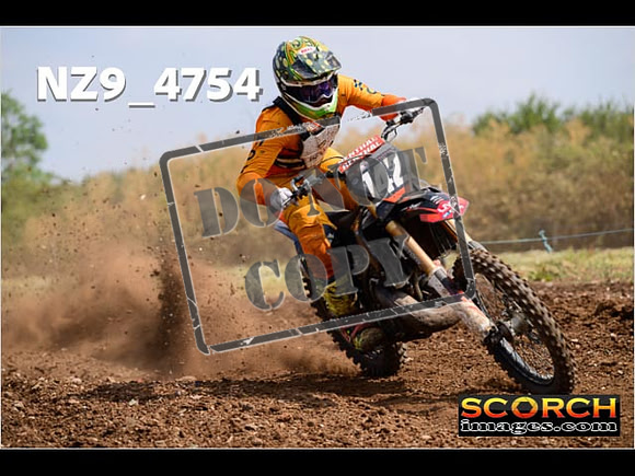Experts-229