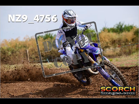 Experts-231