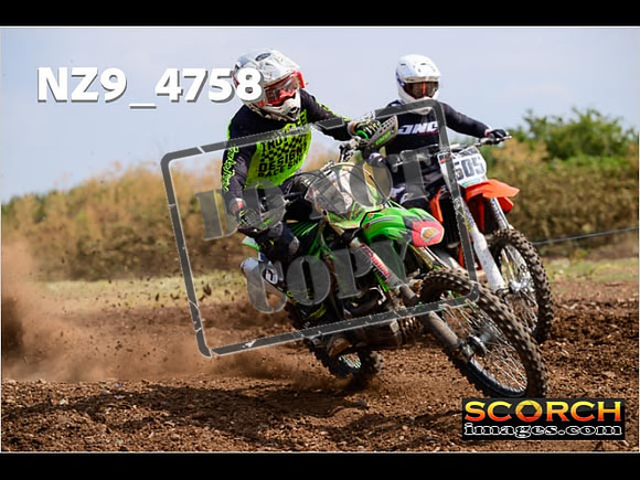 Experts-232
