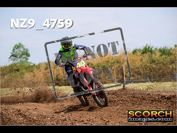 Experts-233