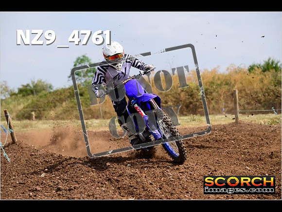 Experts-234