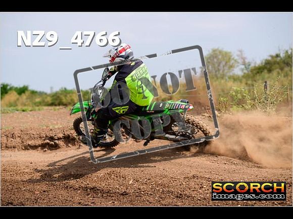 Experts-237
