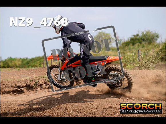 Experts-239