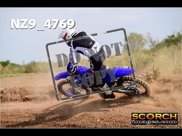 Experts-240