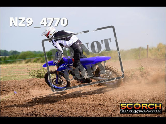 Experts-241