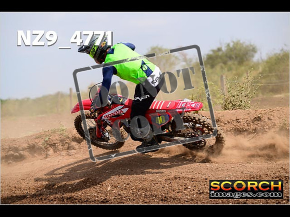 Experts-242