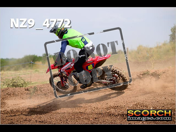 Experts-243