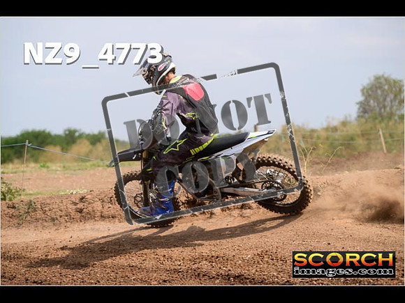 Experts-244