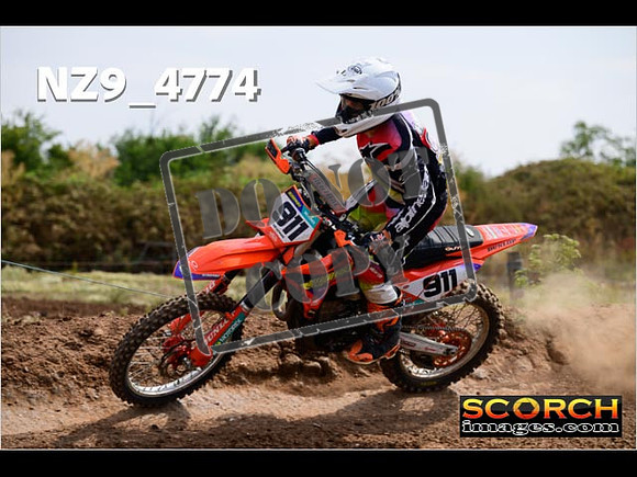Experts-245