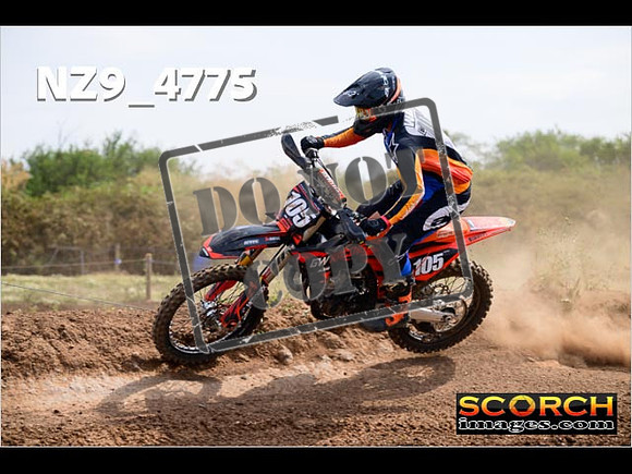 Experts-246