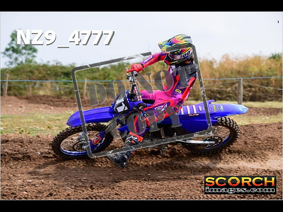 Experts-248