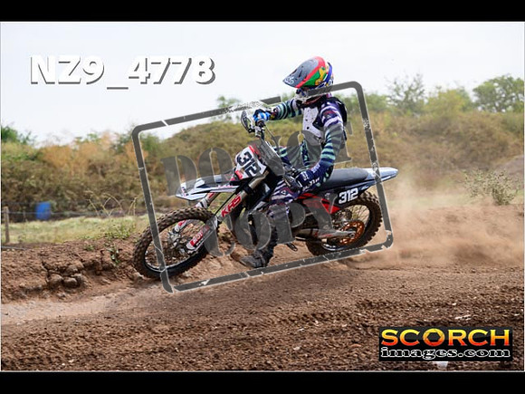 Experts-249