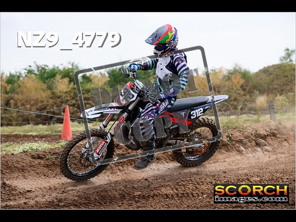 Experts-250