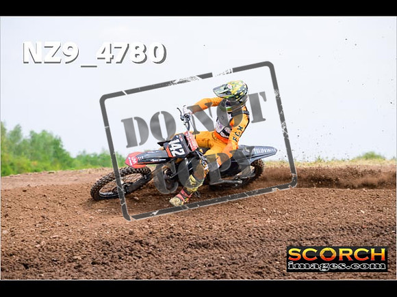 Experts-251