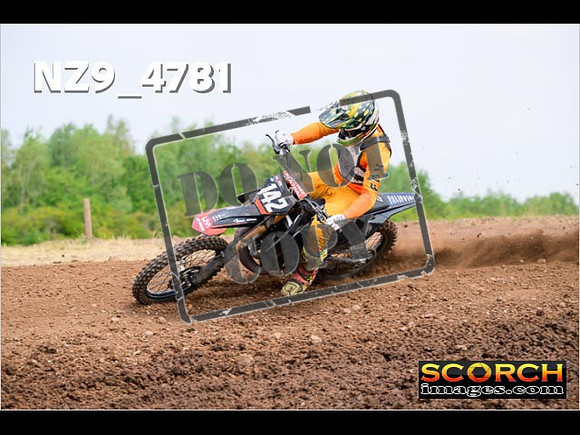Experts-252