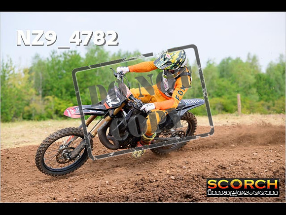 Experts-253