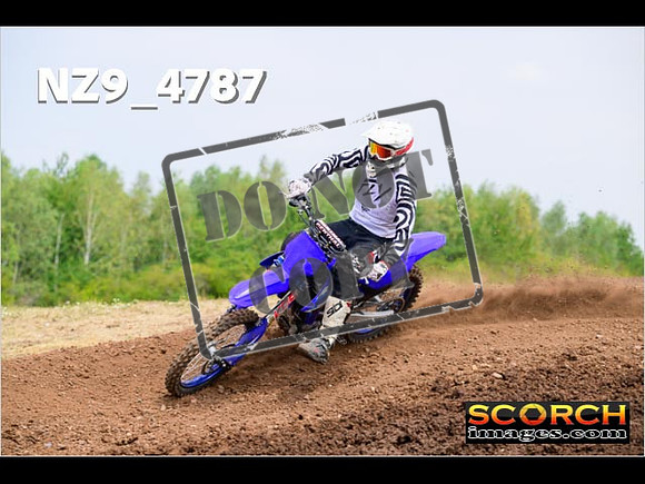 Experts-258