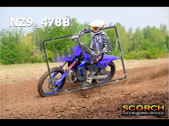 Experts-259