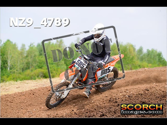 Experts-260