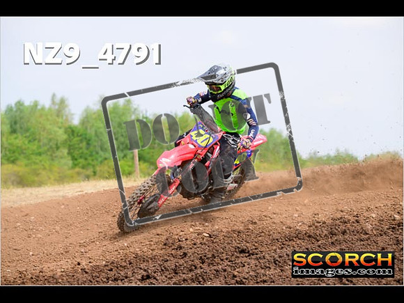 Experts-261