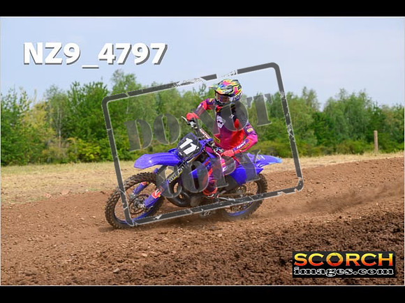 Experts-265