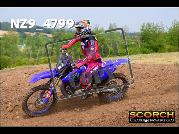 Experts-267