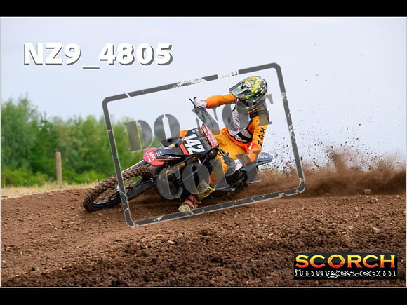 Experts-272