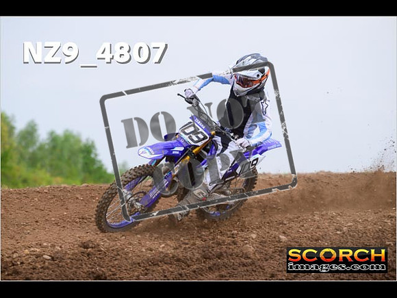 Experts-274