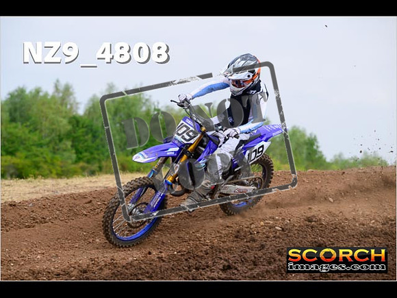 Experts-275