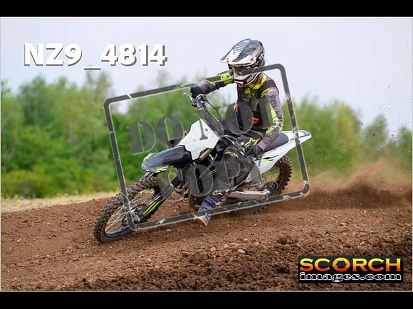 Experts-281