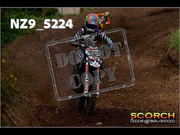 Experts-282